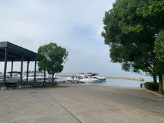 -苏州太湖国际会议中心