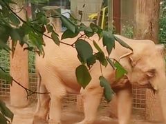 -昆明动物园