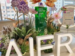 -东北大学附属辽宁爱尔眼科医院