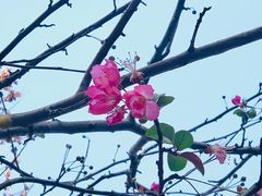 -盘龙城国家考古遗址公园