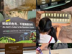 -厦门诚毅自然探索馆