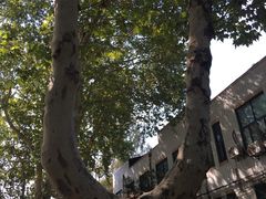 -南京航空航天大学(明故宫校区)