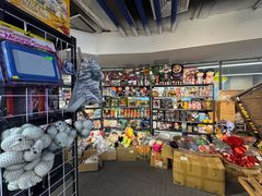 -seed station 中古玩具店(北投购物店)