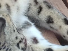 -青藏高原野生动物园
