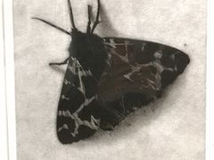 -徐汇艺术馆