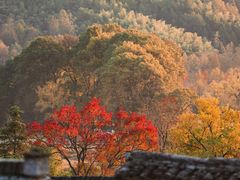 -塔川景区