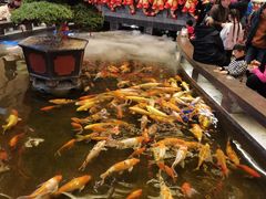 -唐山宴百姓府邸院落中餐
