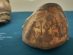 -青岛贝壳博物馆