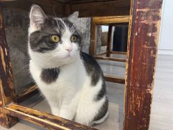 -塞巴斯汀SEBASTIAN专业美发店