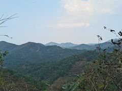 -金龙寺国家森林公园