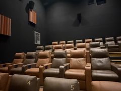 -金逸影城(大悦城IMAX激光店)