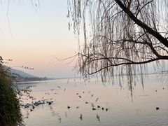 -西昌邛海湿地