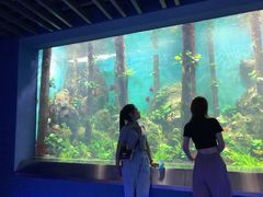 -石家庄海洋公园