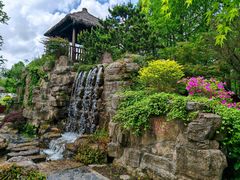 -东平国家森林公园
