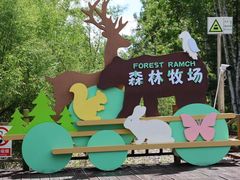 -莫尔道嘎国家森林公园