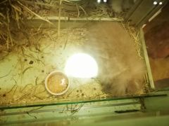 -龙猫仔乐园(惠福东路店)