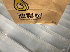 -油梨树 AVOCADO TREE(亮马桥店)