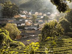 -杨家堂村