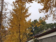 -柳侯公园