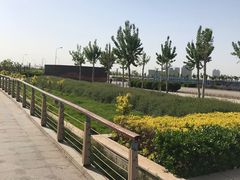 -东疆建设开发纪念公园