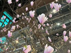 -中粮·祥云小镇