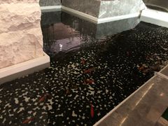 -太湖饭店玉兰厅(自助餐厅)