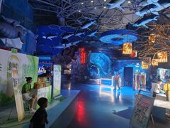 -烟台海昌鲸鲨海洋公园