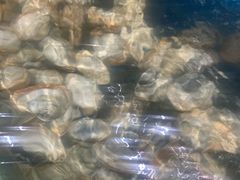 -蓝珊甄选海鲜自助·火锅大排档(近阿那亚店)
