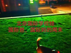 -日本大使馆-新闻文化中心