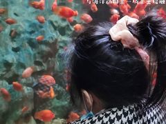 -苏州海洋馆