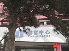 -太阳部落