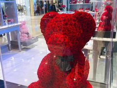 -ROSEONLY诺誓(国际广场购物中心店)