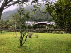 -毛泽东同志旧居