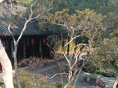 -梅园