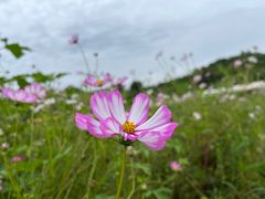 -北京金海湖景区