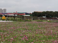 -新地休闲农场