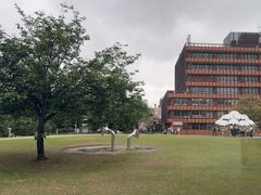 -金泽21世纪美术馆