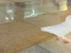 -Olé精品超市(海上世界店)
