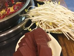 -大龙火锅(老店)