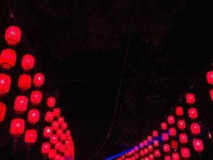 -印象普陀