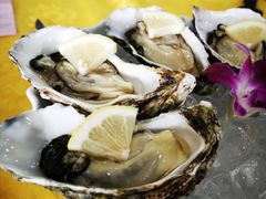 爱尔兰蚝-蚝专家(北滘店)