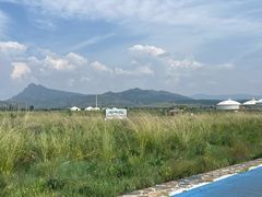 -敕勒川草原
