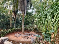 -海南热带野生动植物园