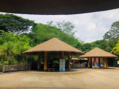 -新加坡飞禽公园
