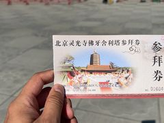 -八大处公园