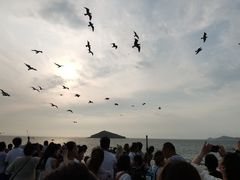 -海驴岛(荣成市)