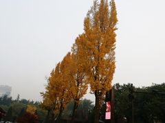 -大雁塔北广场音乐喷泉