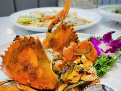 干煎红膏蟹-阿里元老宋海鲜大排档(明发店)