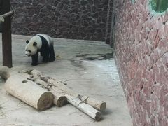 -黔灵山公园