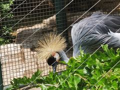 -大连森林动物园